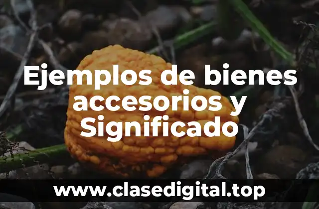 Ejemplos de bienes accesorios y Significado