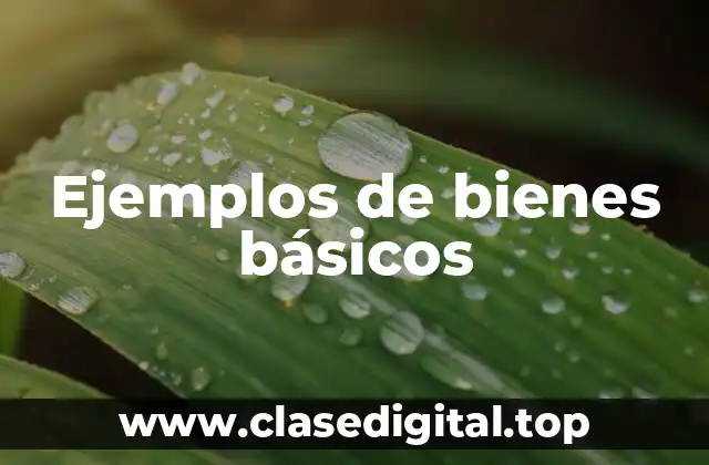 Ejemplos de bienes básicos