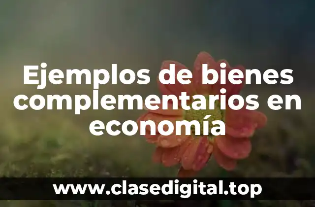 Ejemplos de bienes complementarios en economía