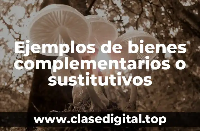 Ejemplos de bienes complementarios o sustitutivos