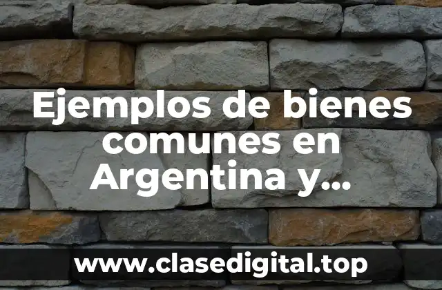 Ejemplos de bienes comunes en Argentina y Significado