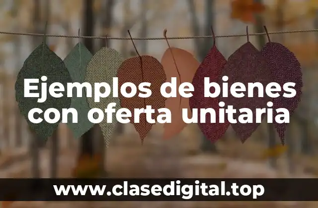 Ejemplos de bienes con oferta unitaria