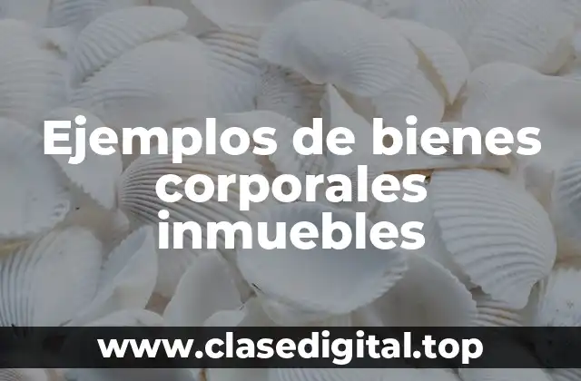 Ejemplos de bienes corporales inmuebles