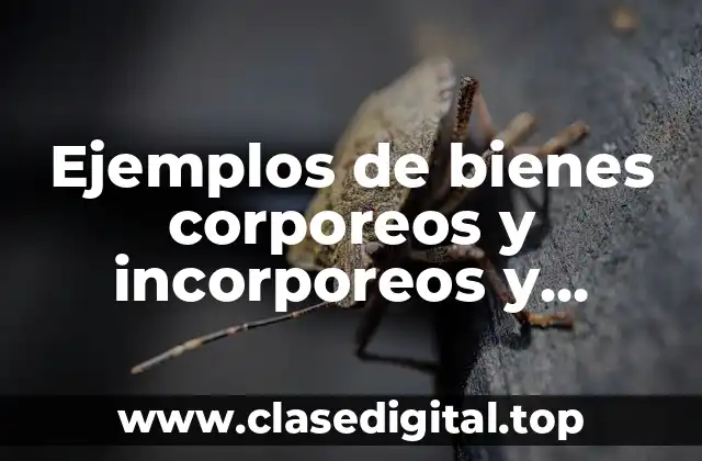Ejemplos de bienes corporeos y incorporeos y Significado