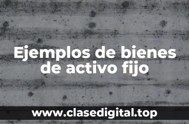 Ejemplos de bienes de activo fijo