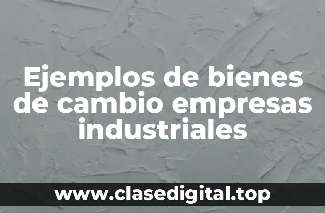 Ejemplos de bienes de cambio empresas industriales