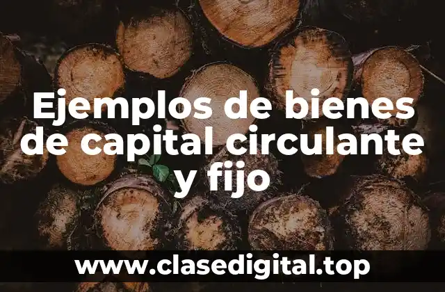 Ejemplos de bienes de capital circulante y fijo