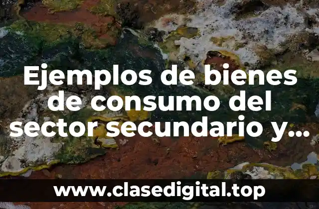 Ejemplos de bienes de consumo del sector secundario y Significado