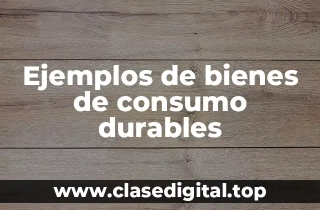 Ejemplos de bienes de consumo durables