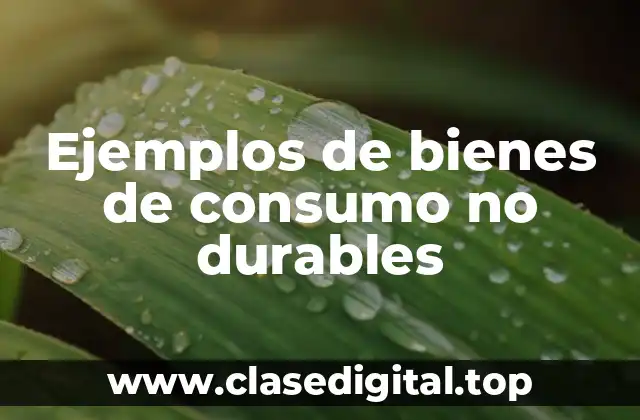 Ejemplos de bienes de consumo no durables