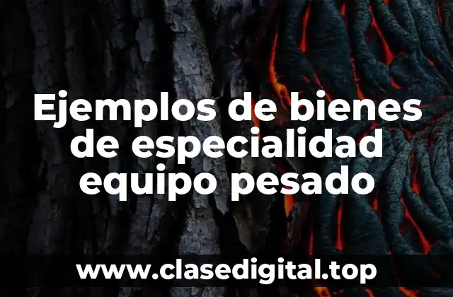 Ejemplos de bienes de especialidad equipo pesado