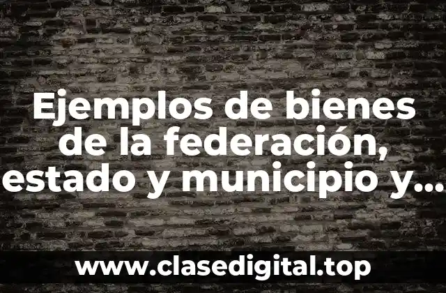 Ejemplos de bienes de la federación, estado y municipio