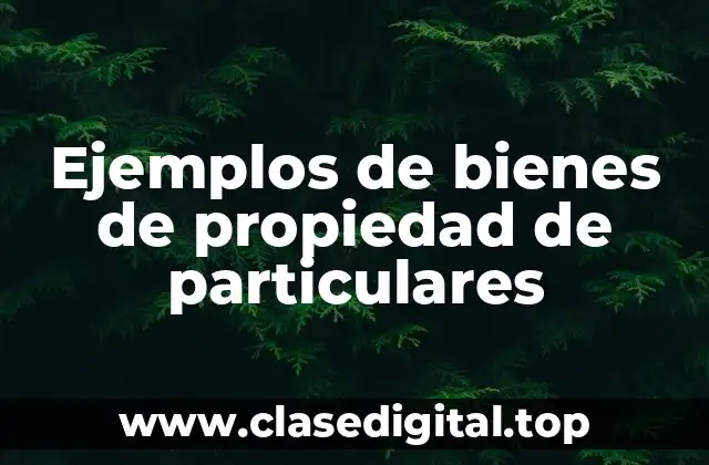 Ejemplos de bienes de propiedad de particulares