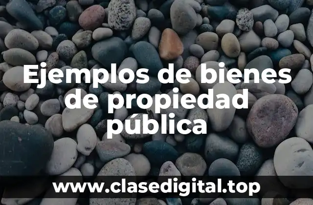 Ejemplos de bienes de propiedad pública