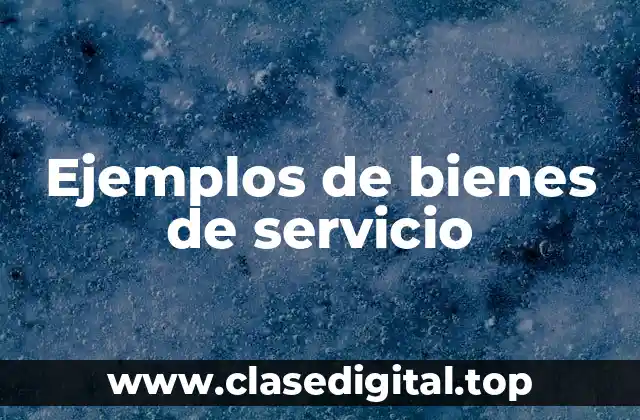 Ejemplos de bienes de servicio