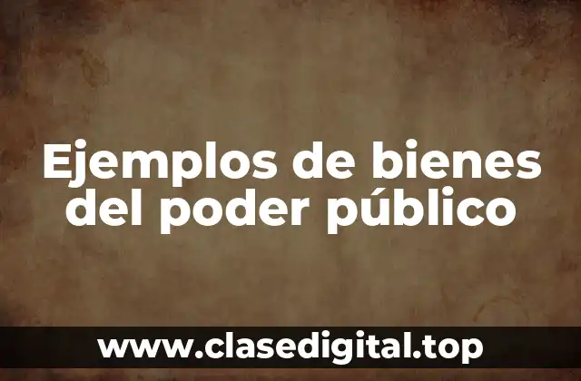 Ejemplos de bienes del poder público