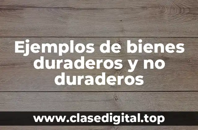 Ejemplos de bienes duraderos
