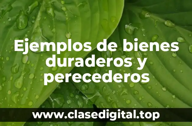 Ejemplos de bienes duraderos y perecederos