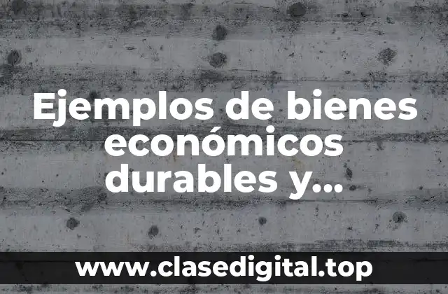 Ejemplos de bienes económicos durables y Significado