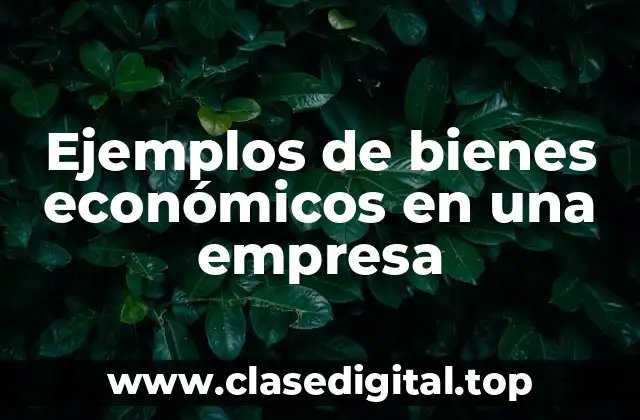 Ejemplos de bienes económicos en una empresa