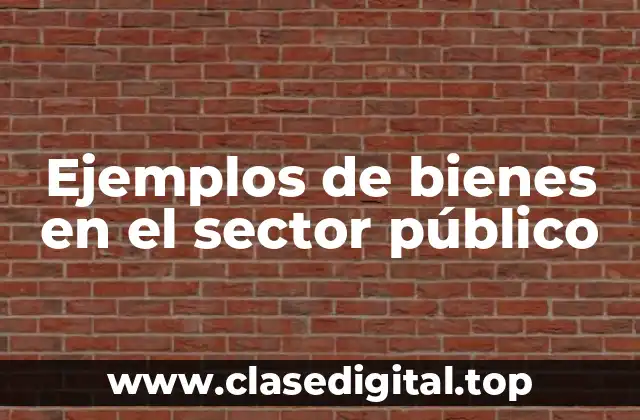 Ejemplos de bienes en el sector público