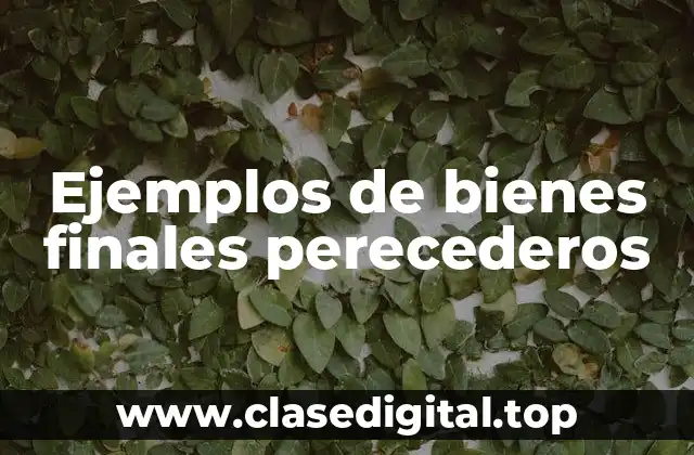 Ejemplos de bienes finales perecederos