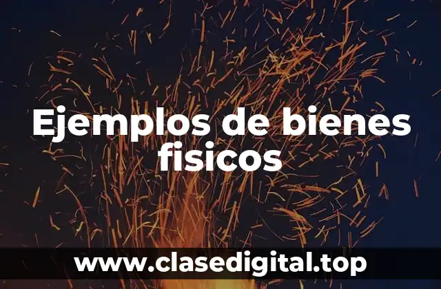 Ejemplos de bienes fisicos