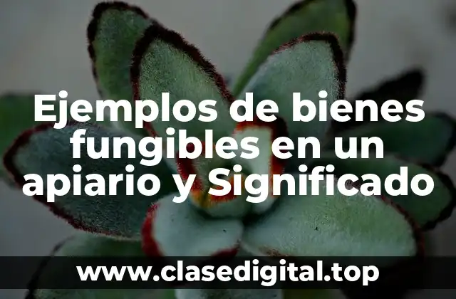 Ejemplos de bienes fungibles en un apiario y Significado