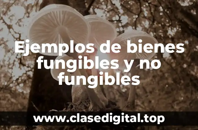 Ejemplos de bienes fungibles y no fungibles