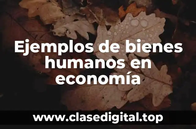 Ejemplos de bienes humanos en economía