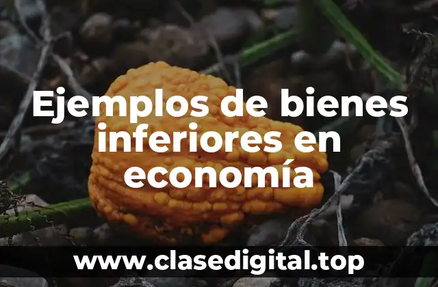 Ejemplos de bienes inferiores en economía
