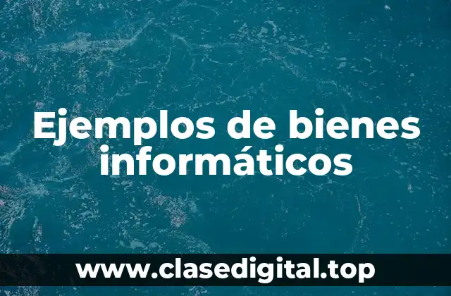 Ejemplos de bienes informáticos