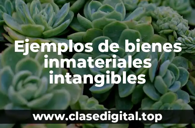 Ejemplos de bienes inmateriales intangibles