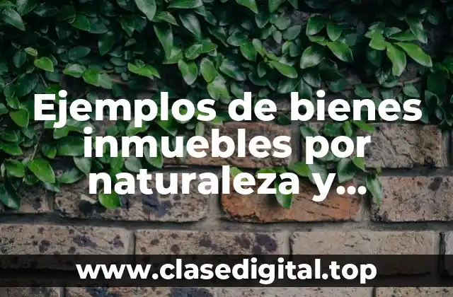 Ejemplos de bienes inmuebles por naturaleza