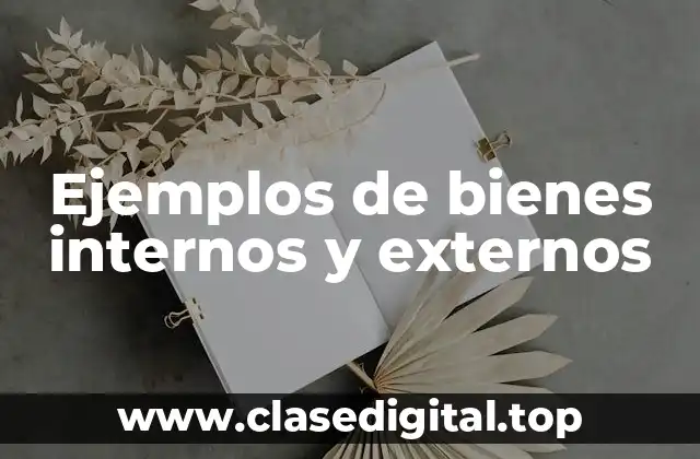 Ejemplos de bienes internos y externos