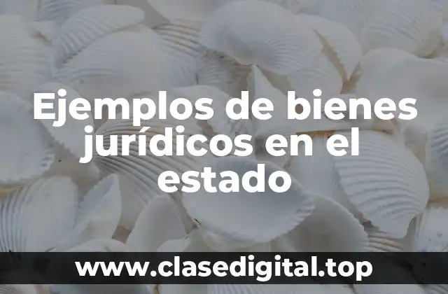 Ejemplos de bienes jurídicos en el estado