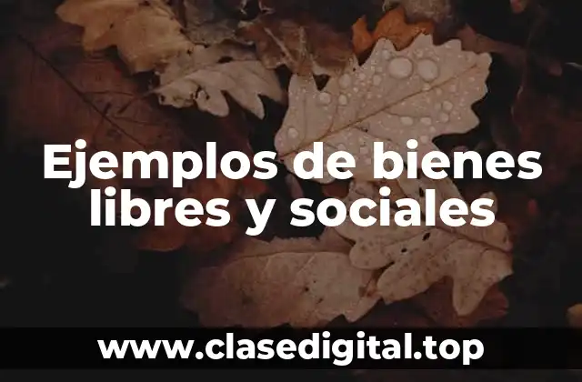 Ejemplos de bienes libres y sociales