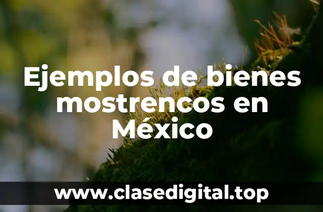 Ejemplos de bienes mostrencos en México