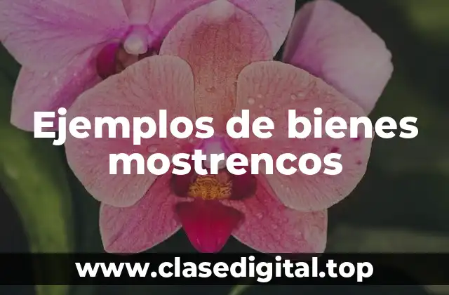 Ejemplos de bienes mostrencos