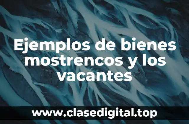 Ejemplos de bienes mostrencos y los vacantes