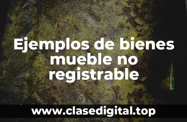 Ejemplos de bienes mueble no registrable