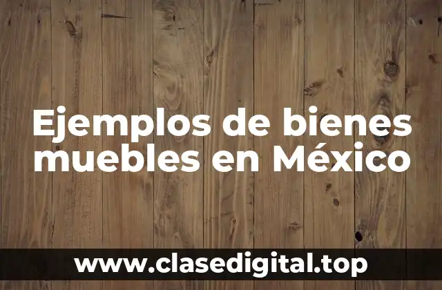 Ejemplos de bienes muebles en México