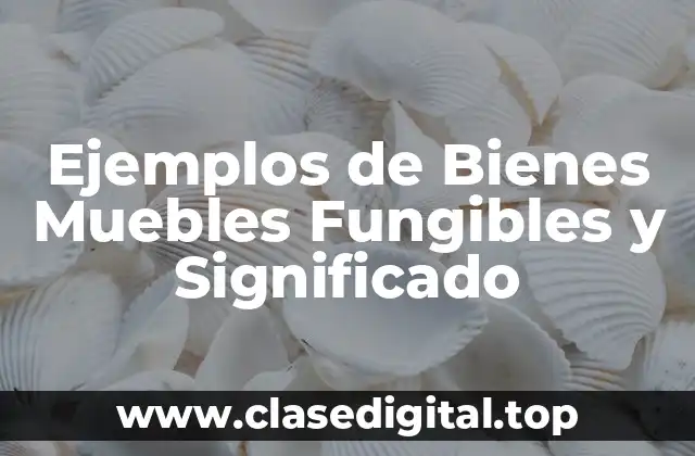 Ejemplos de Bienes Muebles Fungibles y Significado