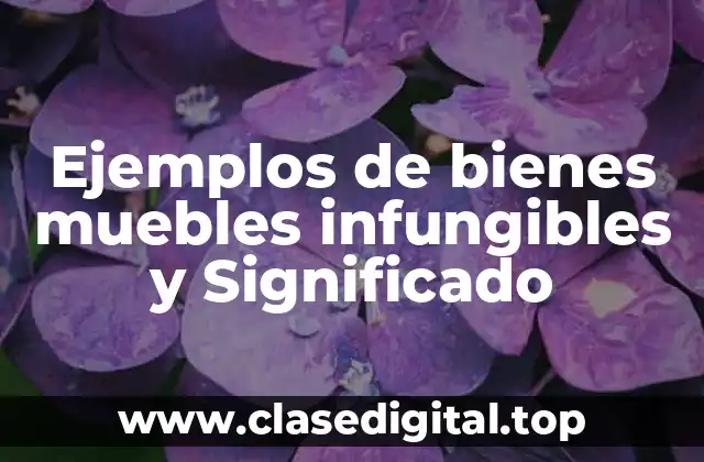 Ejemplos de bienes muebles infungibles