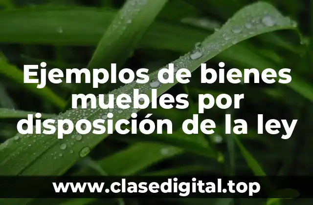 Ejemplos de bienes muebles por disposición de la ley