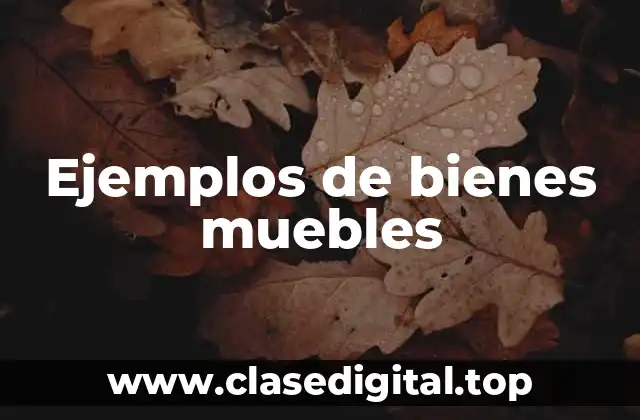Ejemplos de bienes muebles