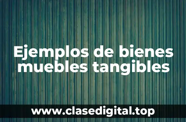 Ejemplos de bienes muebles tangibles