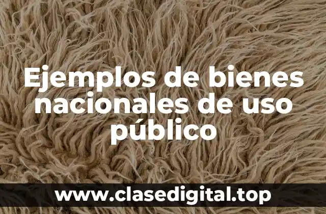 Ejemplos de bienes nacionales de uso público