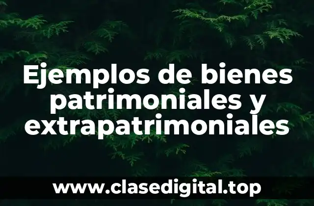 Ejemplos de bienes patrimoniales y extrapatrimoniales