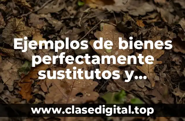Ejemplos de bienes perfectamente sustitutos y Significado